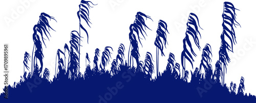 midnight blue grass sea silhouette of a windswept coastal field, isolated on transparent background