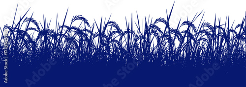 midnight blue rice field serene silhouette of abundant harvest, isolated on transparent background