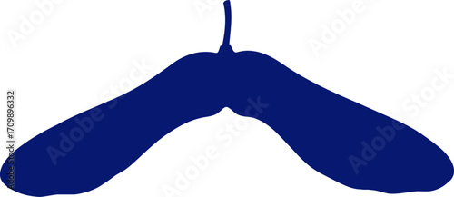 midnight blue samara natures flight, elegant silhouette, botanical design element, isolated on transparent background