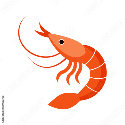 vector illustration of a shrimp