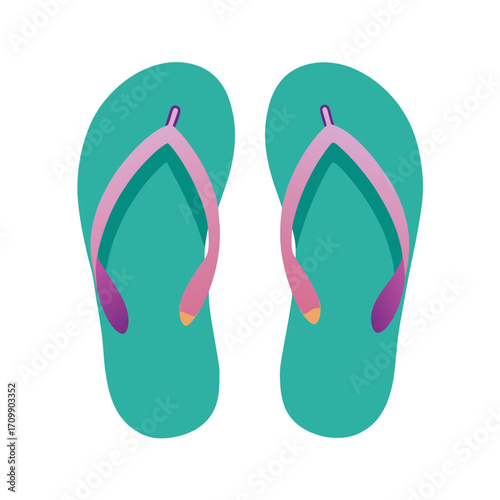 flip flops vector art illustration