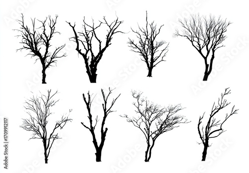 Nine silhouette images of bare, leafless trees