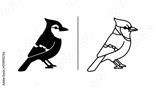 Blue Jay Bird Silhouette and Line Art.