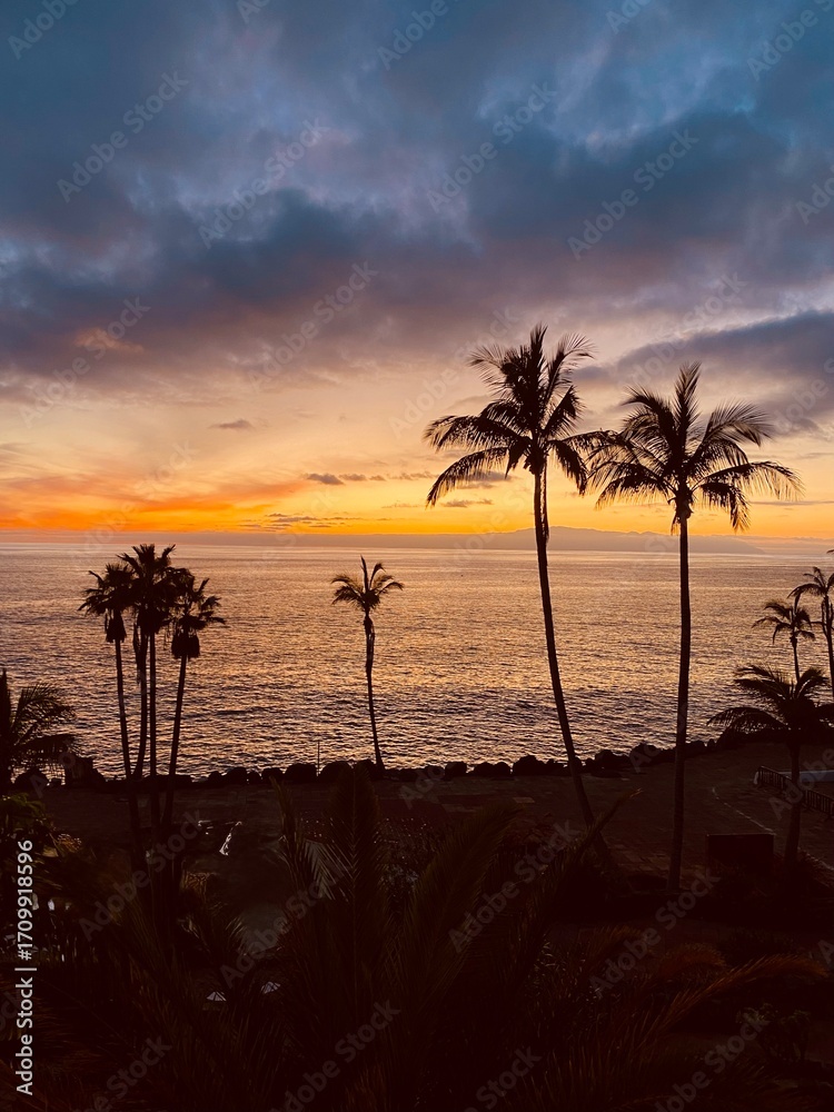 Obraz premium sunset on the beach, Tenerife 