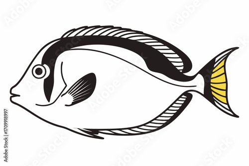 vector illustration of a fish