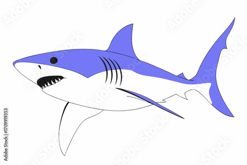 shark vector illustration