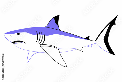 great white shark