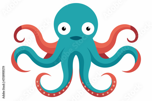 octopus