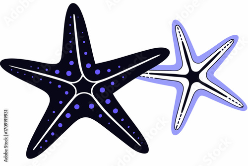 starfish on blue background