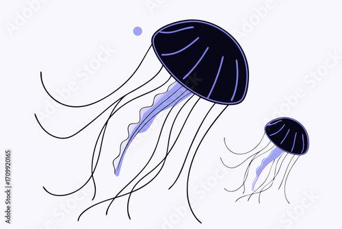 jellyfish in the water