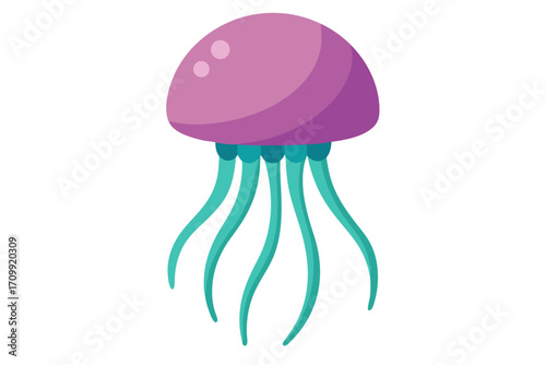 jellyfish on white background