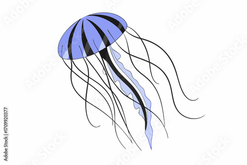 jellyfish on black background