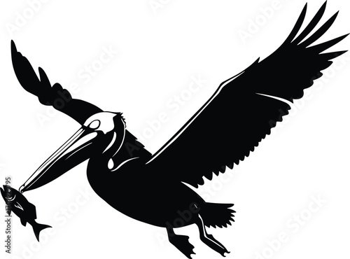 Silhouette of flying pelican holding fish in beak, isolated on white background, perfect for wildlifeSilhouette of flying pelican holding fish 