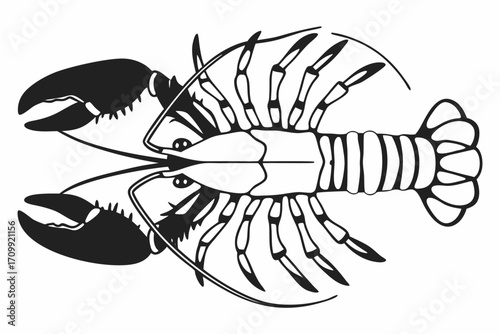 lobster vector illustration