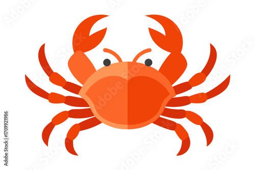 red crab isolated on white