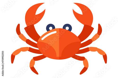 crab isolated on white background