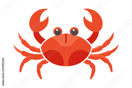 red crab isolated on white