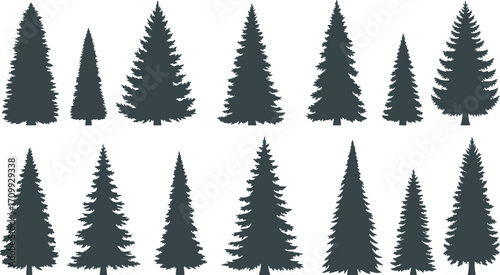 set of silhouettes of trees. pine trees isolated images. spruce tree illustration for winter christmas.