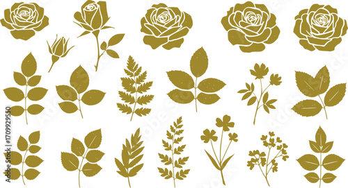 A collection of vector stamp effect floral elements including leaves, roses and various plants