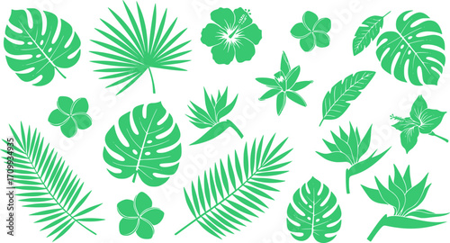 Hand drawn tropical leaves and flowers vector illustration featuring various floral elements design