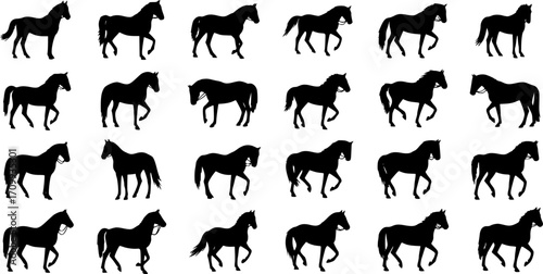 set of equestrian silhouette black and white in many profile side front view.