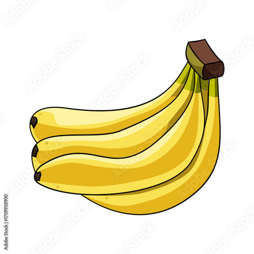 Yellow Ripe Banana Bunch Vector Illustration