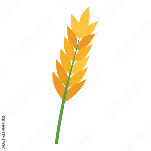 Simple yellow barley stalk vector illustration, agricultural plant design