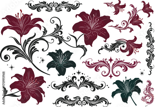 Elegant floral lily vector set with decorative flowers, vintage ornaments, baroque swirls, botanical elements and ornamental design illustration