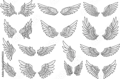 Angel wings vector set, hand drawn feather wings, tattoo design, decorative illustration, fantasy elements, bird wings art collection