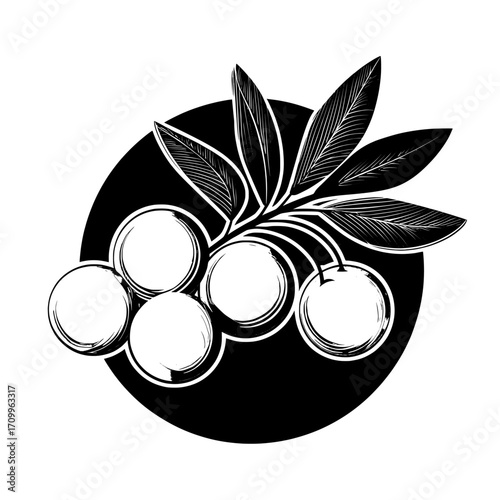 Isolated on white, a selection of sea buckthorn's yellow ripe berries and green leaves offers a design concept for food and cosmetics packaging, emphasizing the fruit and the golden droplets of its