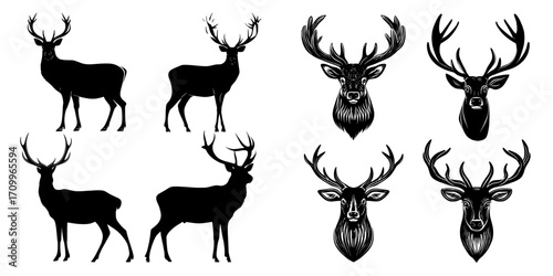 Modern illustration of a set of deer in a flat cartoon on a white background