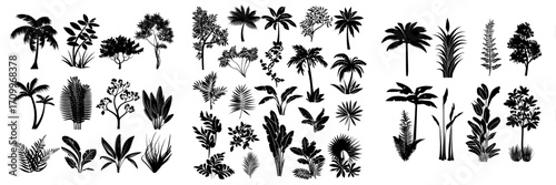 Tropical plants and lianes are utilized as graphic elements in flat design, featuring a bundle of diverse exotic trees and leaves, wild flora, and other green jungle foliage in a modern illustration