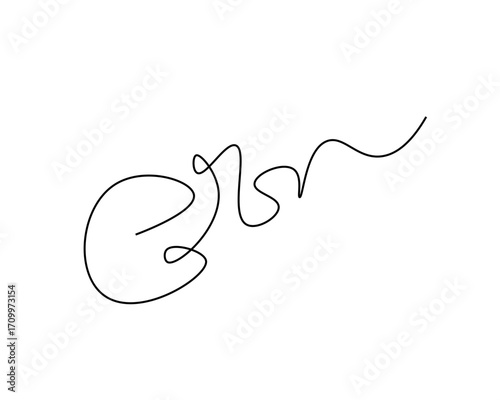 Elegant, flowing script signature evokes personal branding and unique identity, perfect for professional logos and artistic expressions