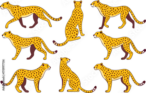Collection of Cheetahs in Various Poses on White Background