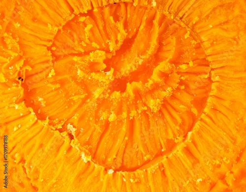 Vibrant Orange Turmeric Slice with Fibrous Texture