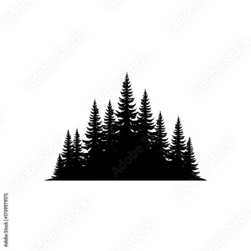Black silhouette of pine trees on white background isolated on white background