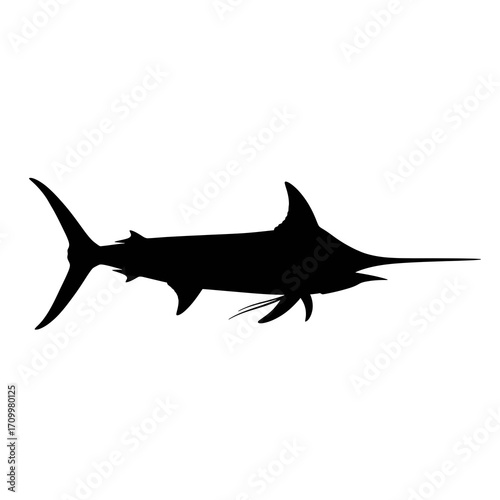Black marlin silhouette isolated on white background