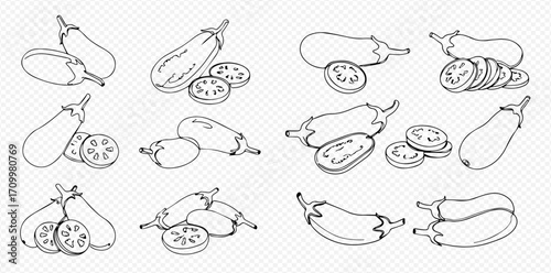 Collection of eggplant line drawings, whole and sliced, in various arrangements on a transparent background.