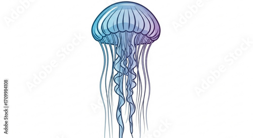 Illustration of a jellyfish with long tentacles marine life and underwater world concept ocean creature