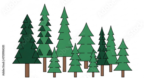 A group of pine trees, evergreen forest with coniferous trees in various sizes illustration