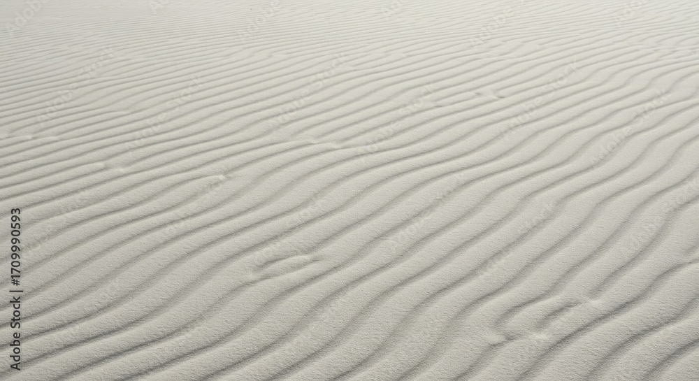 Fototapeta premium Rippled Sand Texture