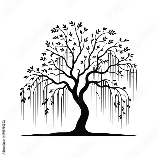 Silhouette of a weeping willow tree with flowing branches and delicate leaves on a plain background.