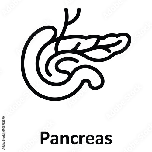 Pancreas organ anatomy illustration for medical and biological science education use case design silhouette