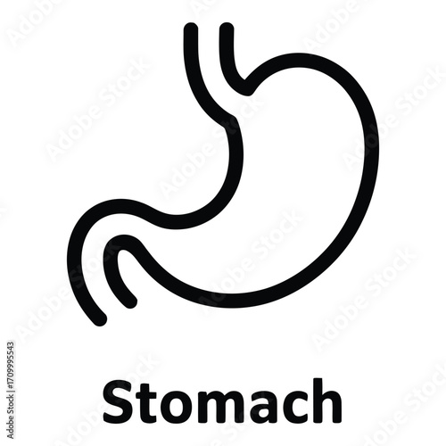 Stomach illustration showing the organ in black outline with a white background for medical use cases silhouette