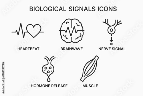 Biological Signals Icons – Scientific Vector Set of Body Rhythms, Neural & Physiological Data Symbols