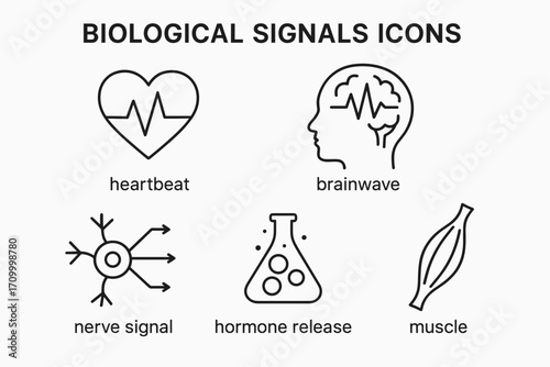 Biological Signals Icons – Scientific Vector Set of Body Rhythms, Neural & Physiological Data Symbols