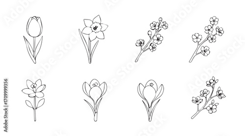 Elegant floral line drawings delicate botanical arrangements for timeless design projects silhouette