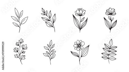 Abstract botanical line art collection featuring delicate flowers leaves and pastel accents silhouette