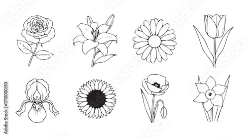 Elegant botanical sketch collection featuring eight distinct floral designs for artistic projects silhouette