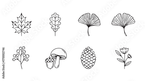 Set of hand drawn botanical elements including leaves flowers mushroom pinecone and hops sketches silhouette
